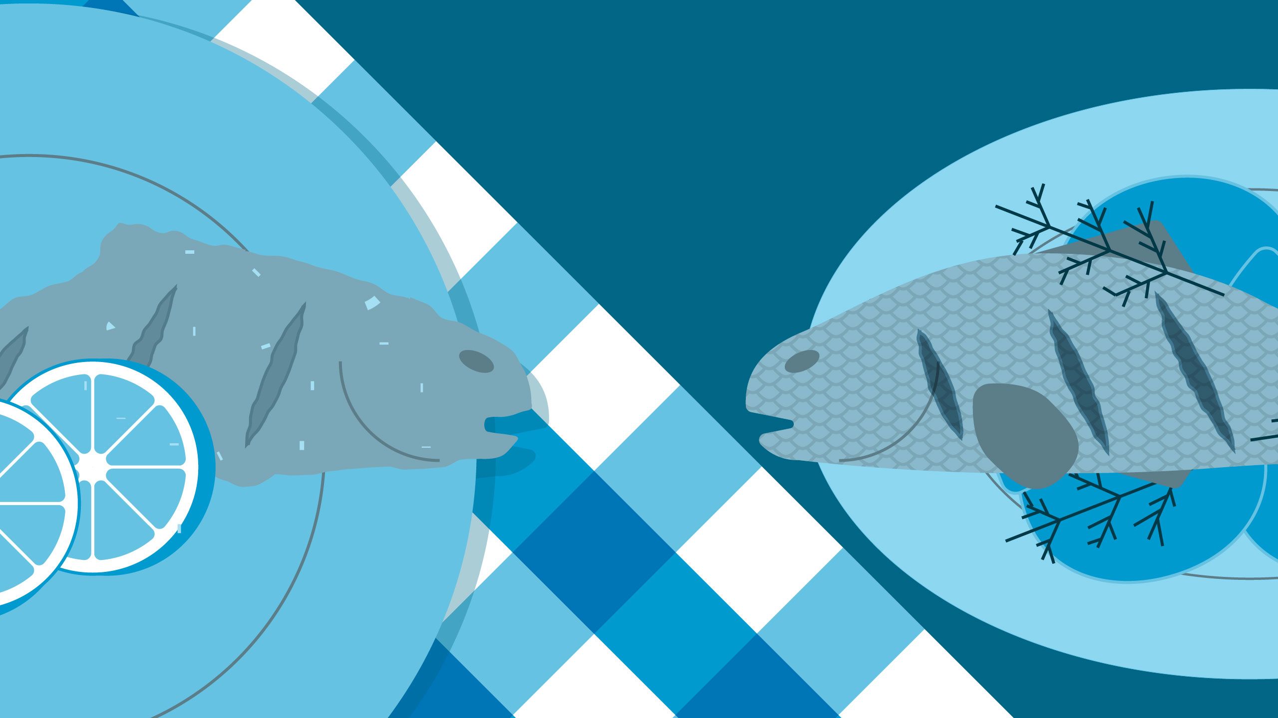 Illustration showing various fish dishes