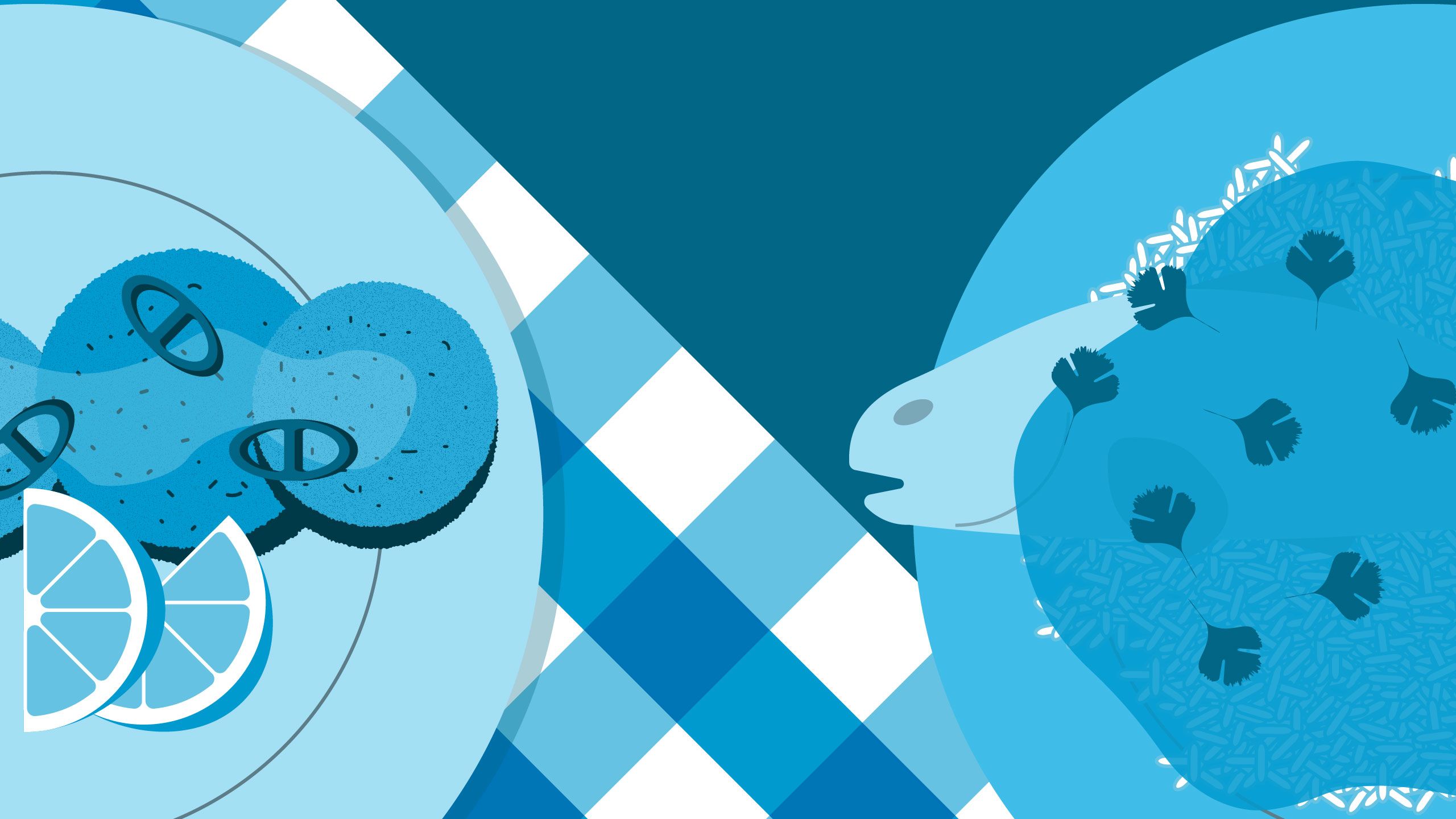 Illustration showing various fish dishes
